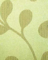 Skyward Aloe by  In Stock  