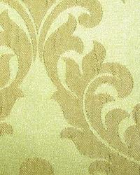 Spellbound Vine by  In Stock  