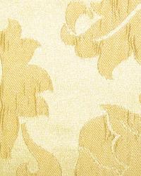 Staccato Caramel by  In Stock  