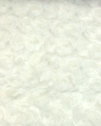 Fuzzy White Ranch - Bulap