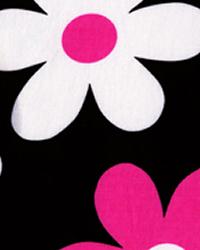 Lil Plain Jain Fuchsia Fall 2009 Lil Plain Jain Fuchsia Fall 2009