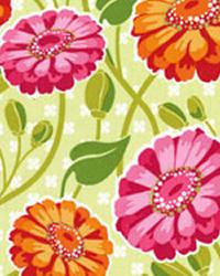 Zinnia Garden Creamsicle Michael Miller - New Fall 2011