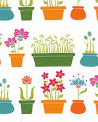 Flower Shop Multi by  In Stock  