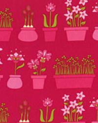 Flower Shop Raspberry by  In Stock  