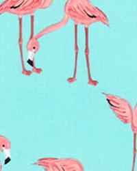 Flamingos Lagoon Michael Miller Spring 2012
