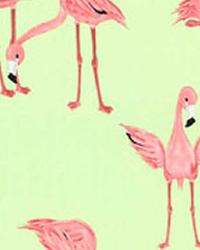 Flamingos Limeade by  Alexander Henry 