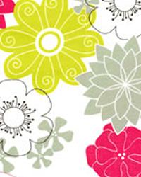 Aromatherapy Sherbert Michael Miller Spring 2011