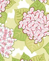Blooming Butterflies Pink Michael Miller - New Fall 2011