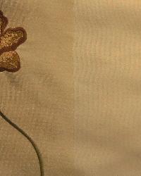 Chopin Parchment