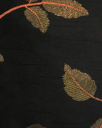Puccini Black