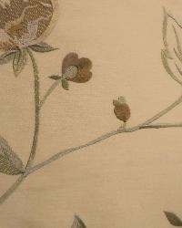 Tenor Beige