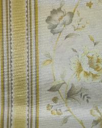 Meyer Dove by  In Stock  