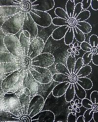 Daisy Black White by  In Stock  