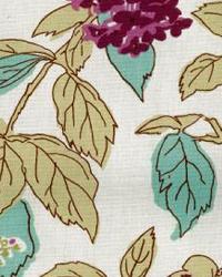 Athens Sugarplum by  In Stock  