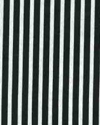 Carly Black White Horizon