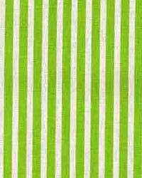 Carly Chartreuse White Horizon