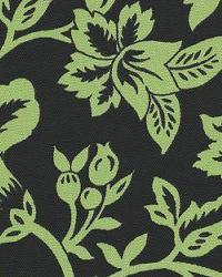 Flower Show Black Lime by  In Stock  