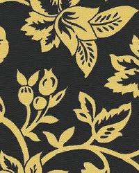 Flower Show Black Yellow by  In Stock  