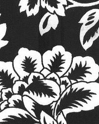 Flower Show Black by  In Stock  