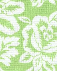 Flower Show Lime by  In Stock  