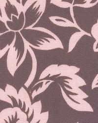 Flower Show Pink Brown by  In Stock  