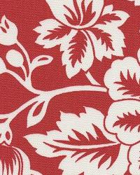 Flower Show Red by  In Stock  