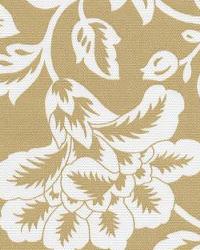 Flower Show Tan White by  In Stock  