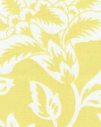Flower Show Yellow by  In Stock  