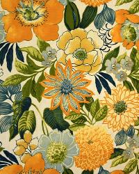 outdoor fabric,outdoor fabrics,indoor outdoor fabric,indoor/outdoor fabric,floral outdoor fabric,floral,florals,large print floral,large print floral fabric,p collins 3303 Provence