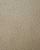 Pindler and Pindler Outback Cement