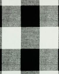 Anderson Black by  Premier Prints 