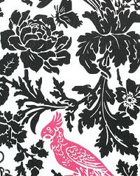 Barber Black Candy Pink by  Premier Prints 