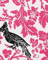 Barber Candy Pink Black by  Premier Prints 