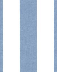 Canopy Baby Blue by  Premier Prints 