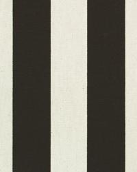 Canopy Black Natural by  Premier Prints 