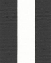Canopy Black by  Premier Prints 