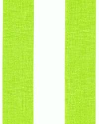 Canopy Chartreuse White by  Premier Prints 