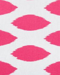Chipper Candy Pink White by  Premier Prints 