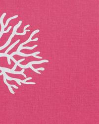 Coral Candy Pink White by  Premier Prints 