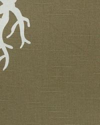 Coral Kelp Slub by  Premier Prints 
