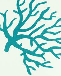 Coral White True Turquoise by  Premier Prints 