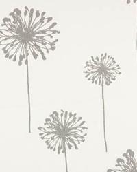 Dandelion White Storm Twill by  Premier Prints 