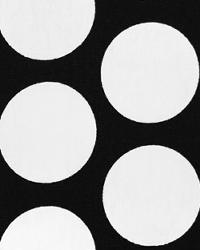 Dandie Black White by  Premier Prints 