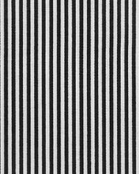 Desoto Black by  Premier Prints 