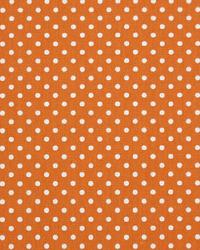 Dottie Sweet Potato Natural by  Premier Prints 