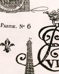 French Stamp Sherbert Gray Twill by  Premier Prints 