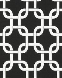 Gotcha Black by  Premier Prints 
