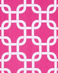 Gotcha Candy Pink White by  Premier Prints 