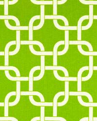 Gotcha Chartreuse White by  Premier Prints 