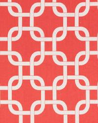 Gotcha Coral White by  Premier Prints 